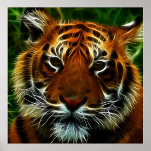TIGER POSTER