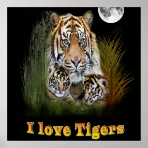 tiger poster