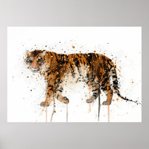 Tiger Poster