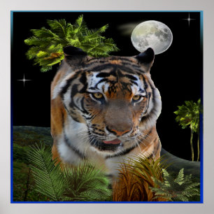 Tiger Poster