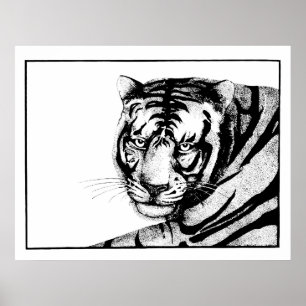Tiger Poster