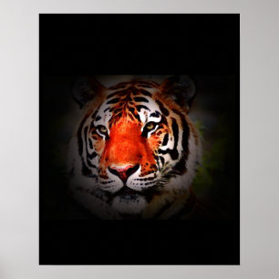 Tiger Poster Print - Pop Art Style Tigers Posters