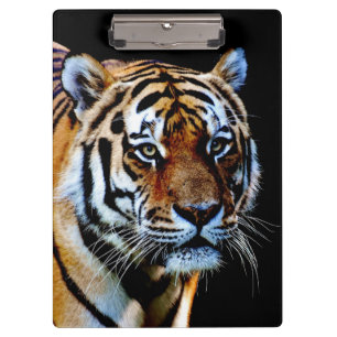 Tiger Predator Clipboard