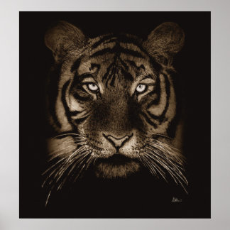 Tiger Print