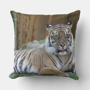tiger print cat custom personalise Anniversaries Cushion