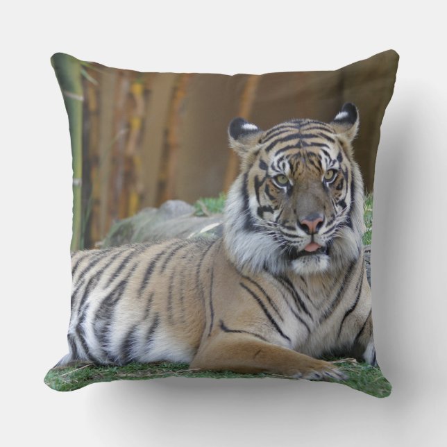 tiger print cat custom personalise Anniversaries Cushion (Front)