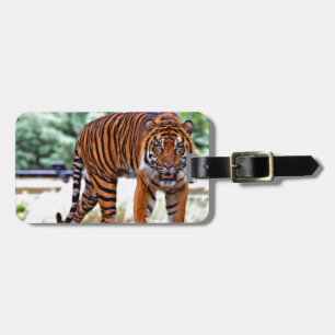 tiger print cat custom personalise Anniversaries Luggage Tag