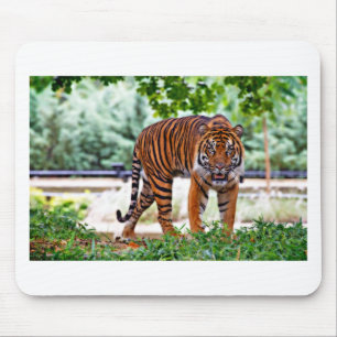 tiger print cat custom personalise Anniversaries Mouse Mat