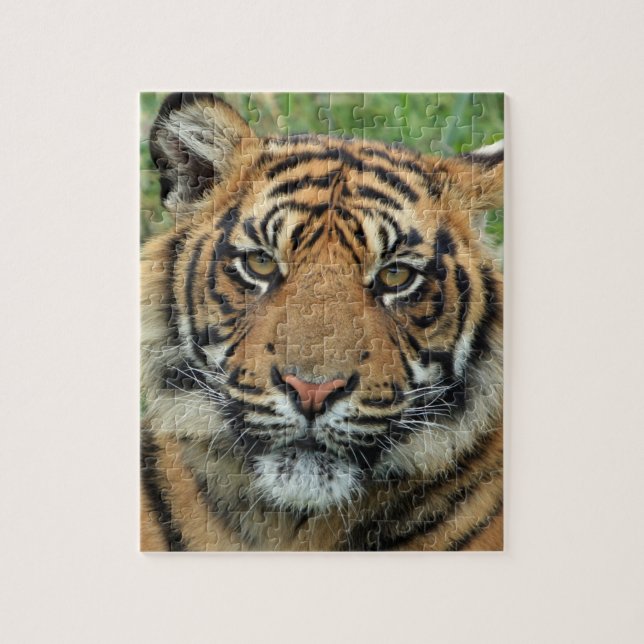 tiger puzzle (Vertical)