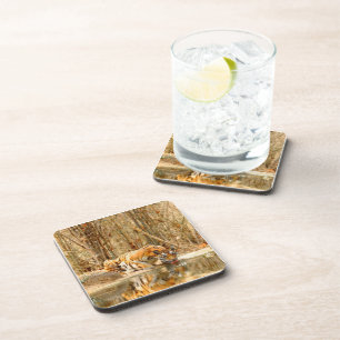 Tiger Reflection Coaster