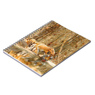 Tiger Reflection Notebook