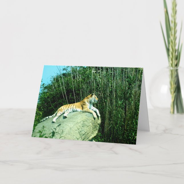 Tiger relaxing  holiday card (Front)