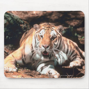 Tiger resting mouse mat