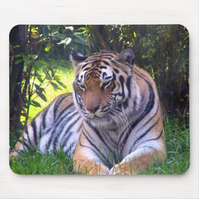 Tiger resting mouse mat (Front)