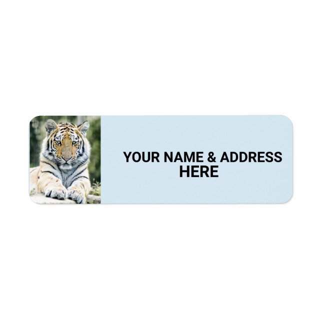 TIGER RETURN ADDRESS LABELS (Front)