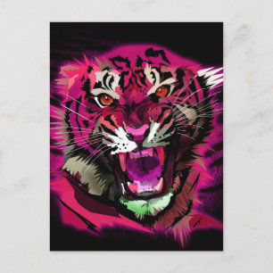 Tiger Roar - Pink Postcard