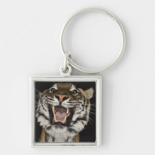 Tiger roaring 2 key ring