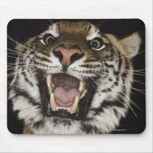Tiger roaring 2 mouse mat