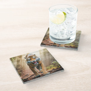 Tiger Roaring in a Backlit Jungle Glass Coaster