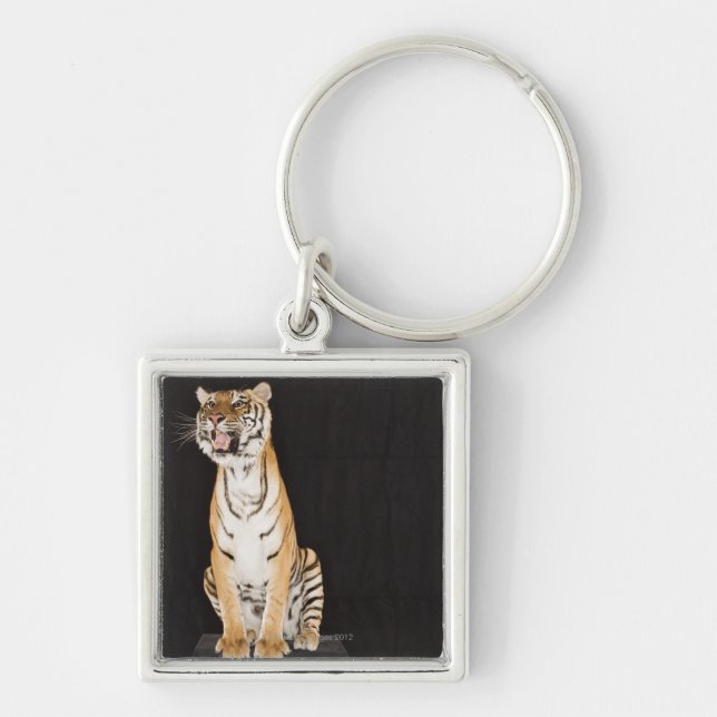 Tiger roaring key ring (Front)