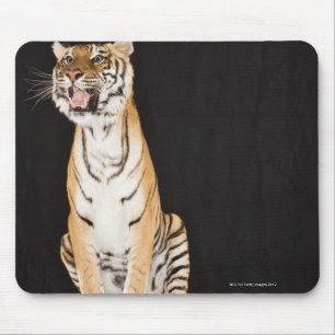Tiger roaring mouse mat