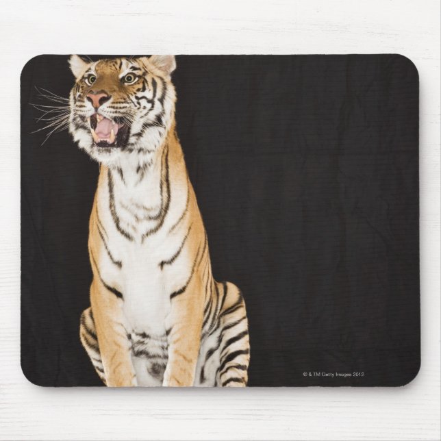 Tiger roaring mouse mat (Front)