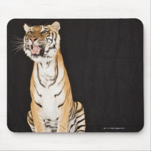 Tiger roaring mouse mat