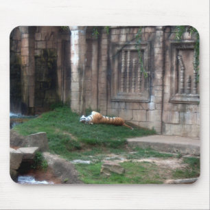 Tiger Roll Mouse Mat