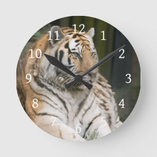 Tiger Round Clock