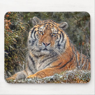 Tiger Royal Mousepad