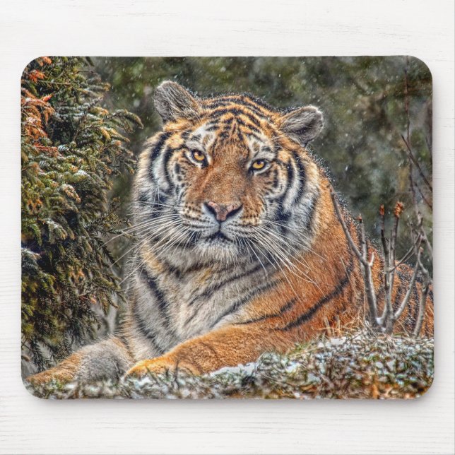 Tiger Royal Mousepad (Front)