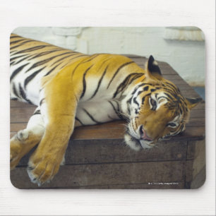 Tiger, Samui, Thailand Mouse Mat