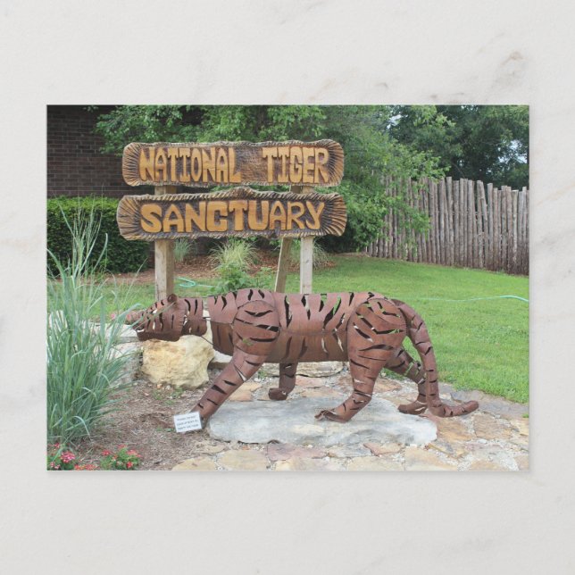 Tiger Sanctuary Sign Postcard (Front)