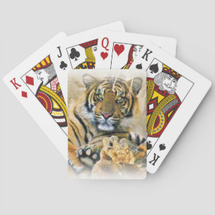 Tiger,Seeking_ Playing Cards