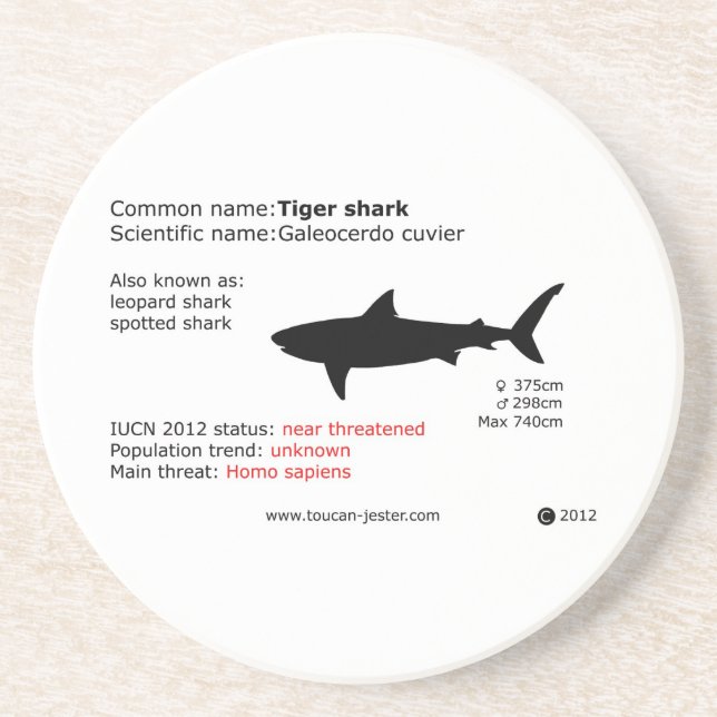Tiger shark coaster (Front)