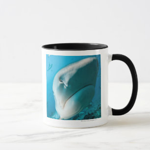 Tiger shark (Galeocerdo cuvier) Shark feed Mug