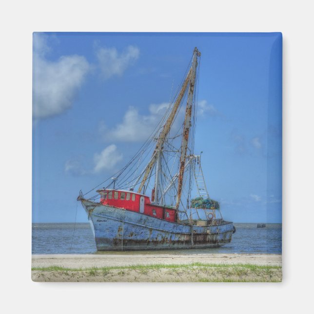 Tiger Shark Magnet (Front)