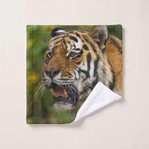 Tiger Showing His Teeth Wash Cloth