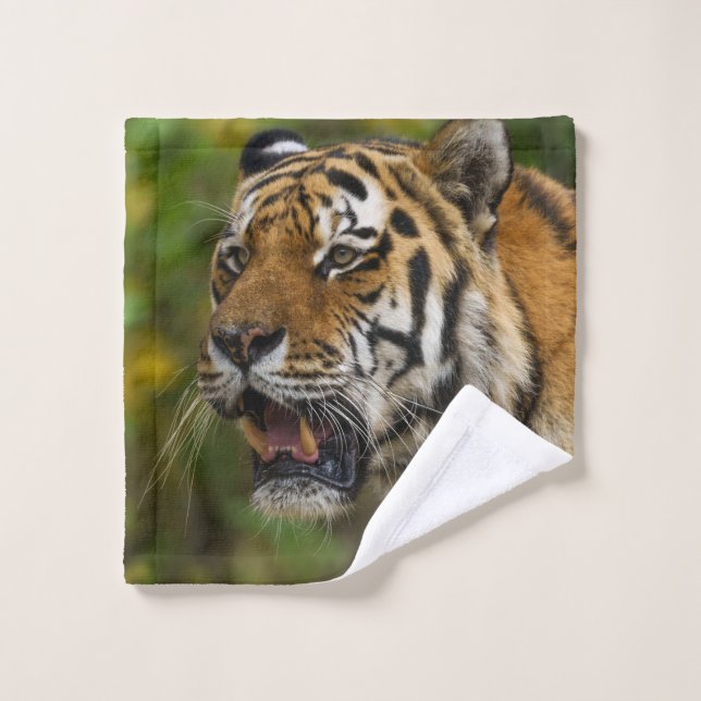 Tiger Showing His Teeth Wash Cloth (Wash Cloth)