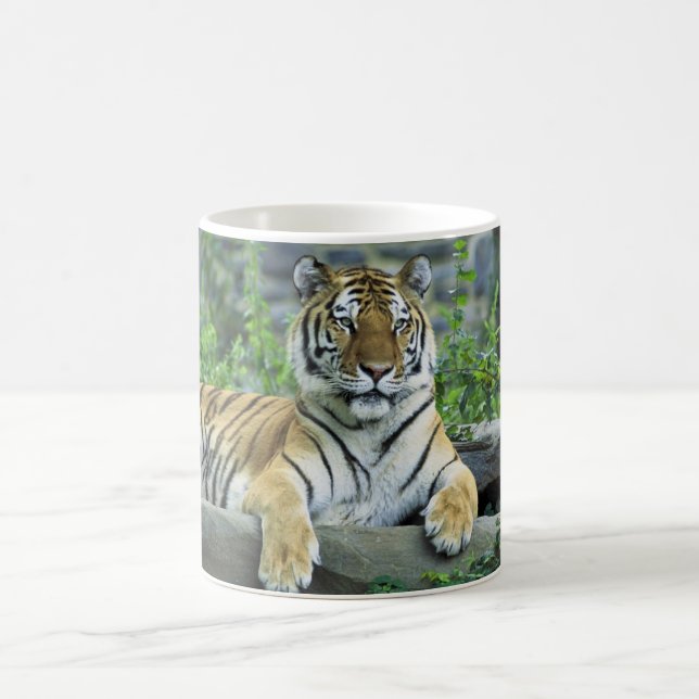 Tiger, Siberian Coffee Mug (Center)