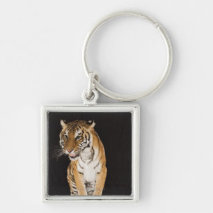 Tiger sitting on platform 2 key ring