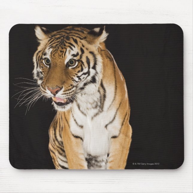 Tiger sitting on platform 2 mouse mat (Front)