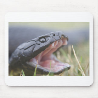 Tiger Snake Mouse Mat