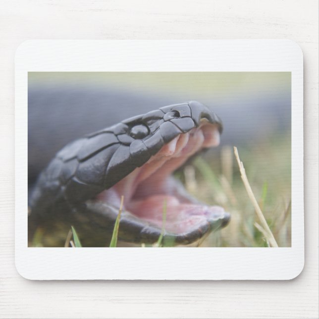 Tiger Snake Mouse Mat (Front)