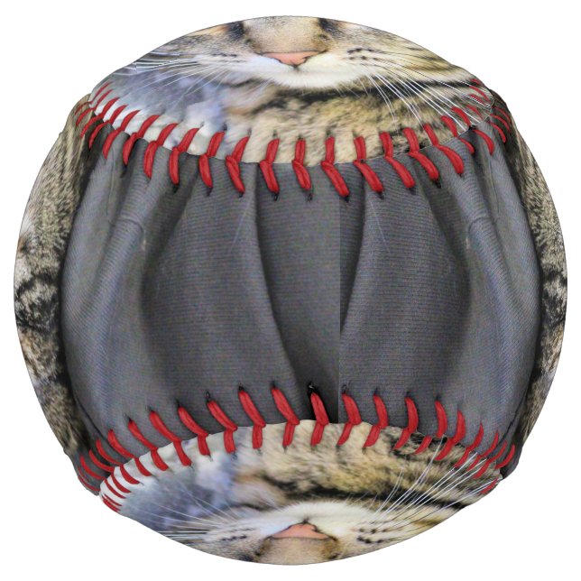 Tiger Softball (Front)