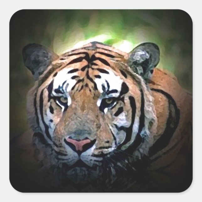 Tiger Square Sticker (Front)