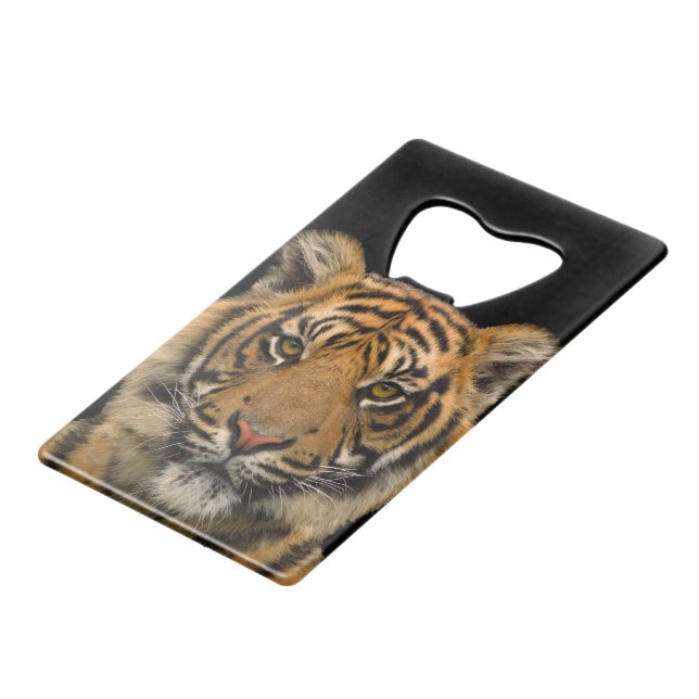 Tiger 🐯 Stainless Steel Bottle Opener (Front Angled)