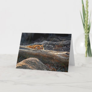 Tiger Stalk Greeting Card