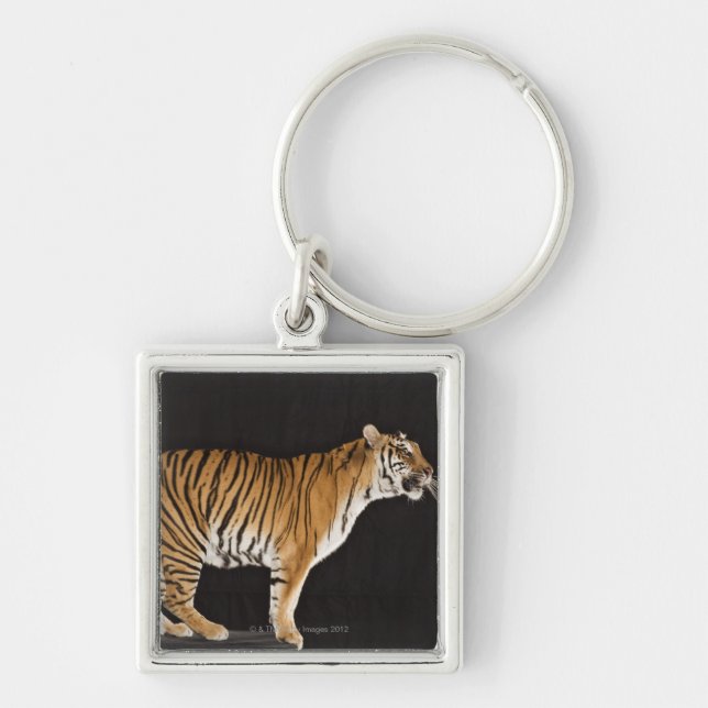 Tiger standing on platform key ring (Front)