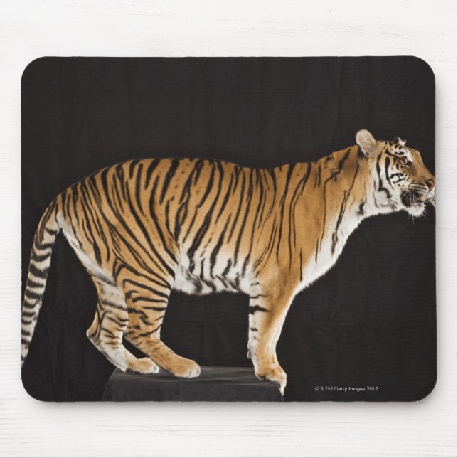 Tiger standing on platform mouse mat (Front)